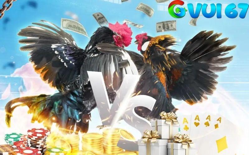 GVUI67 là trang đá gà thomo uy tín hàng đầu Việt Nam GVUI67 là trang đá gà thomo uy tín hàng đầu Việt Nam