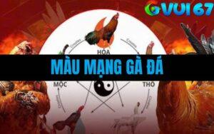 Cách Xem Màu Mạng Gà Đá Chính Xác – Tăng Tỷ Lệ Thắng Cùng GVUI67