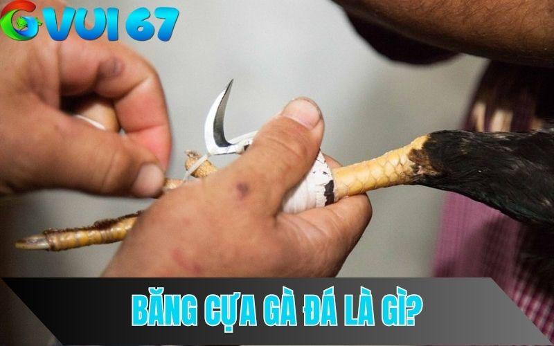 Kỹ thuật băng cựa gà đá là gì?