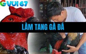 Làm Tang Gà Đá - Hướng Dẫn Cách Xử Lý Và Chăm Sóc Chiến Kê Sau Thi Đấu
