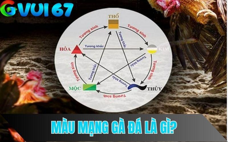 Màu mạng gà đá là màu sắc của lông gà theo phong thuỷ