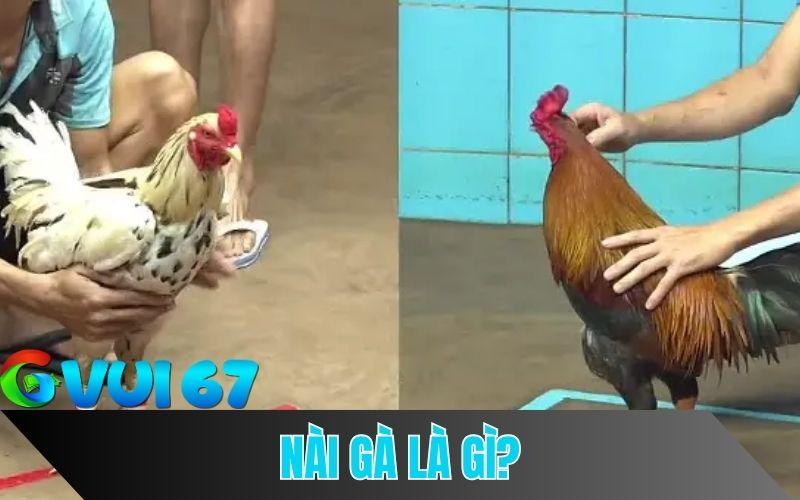 Nài gà là người thả gà và sửa gà trong các trận đá gà.