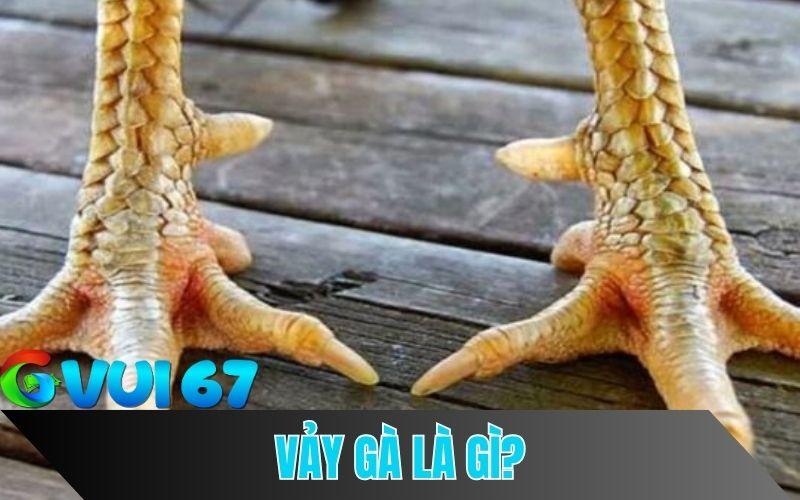 Tìm Hiểu Về Vảy Gà Đá