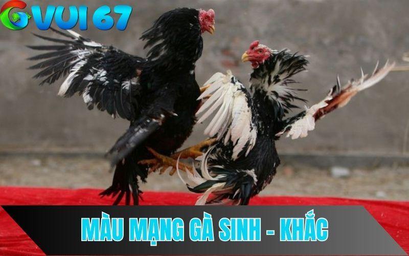 Tương sinh – tương khắc trong màu mạng gà đá 