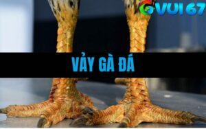 Vảy Gà Đá – Tổng Hợp 92 Vảy Gà Tốt Xấu, Cách Nhận Biết Và Phân Loại