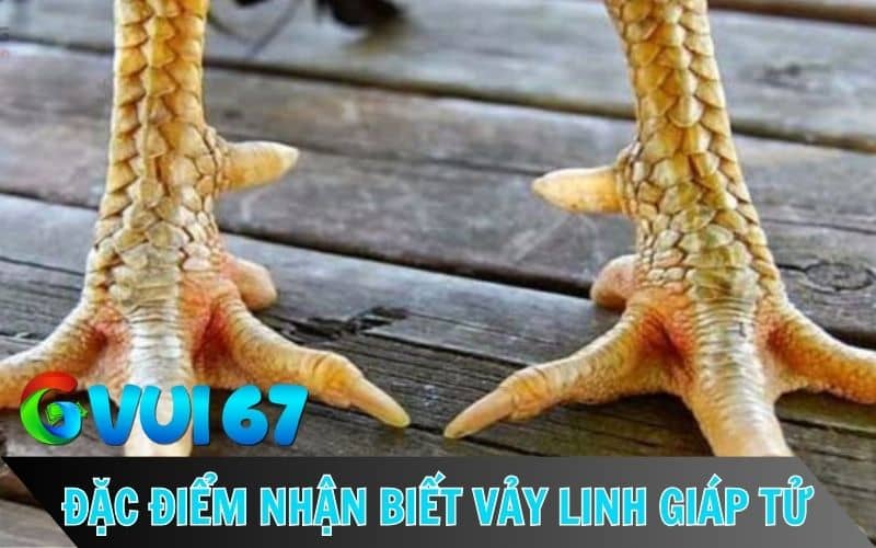 Các đặc điểm nhận biết vảy linh giáp tử