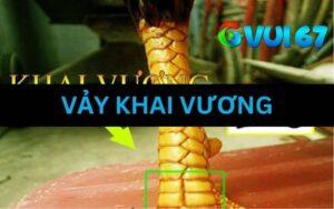 Vảy Khai Vương