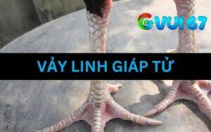Vảy linh giáp tử