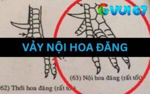 Vảy Nội Hoa Đăng